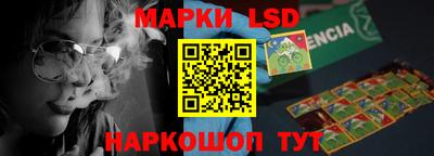 МДПВ Бердск