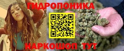МДПВ Бердск