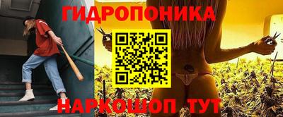 МДПВ Бердск
